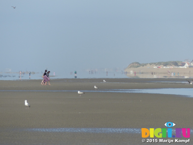 FZ015979 People reflected on De Panne beach